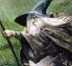 gandalf94305