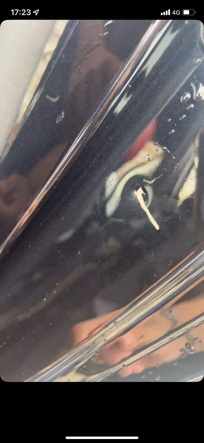 Auto Sicherheitsgurt in Türe eingeklemmt (Lackschaden/Delle ...