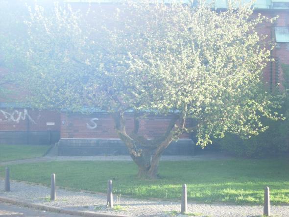 Blick aus Fenster - (Grundsicherung, Pflegeheim, Elternunterhalt)