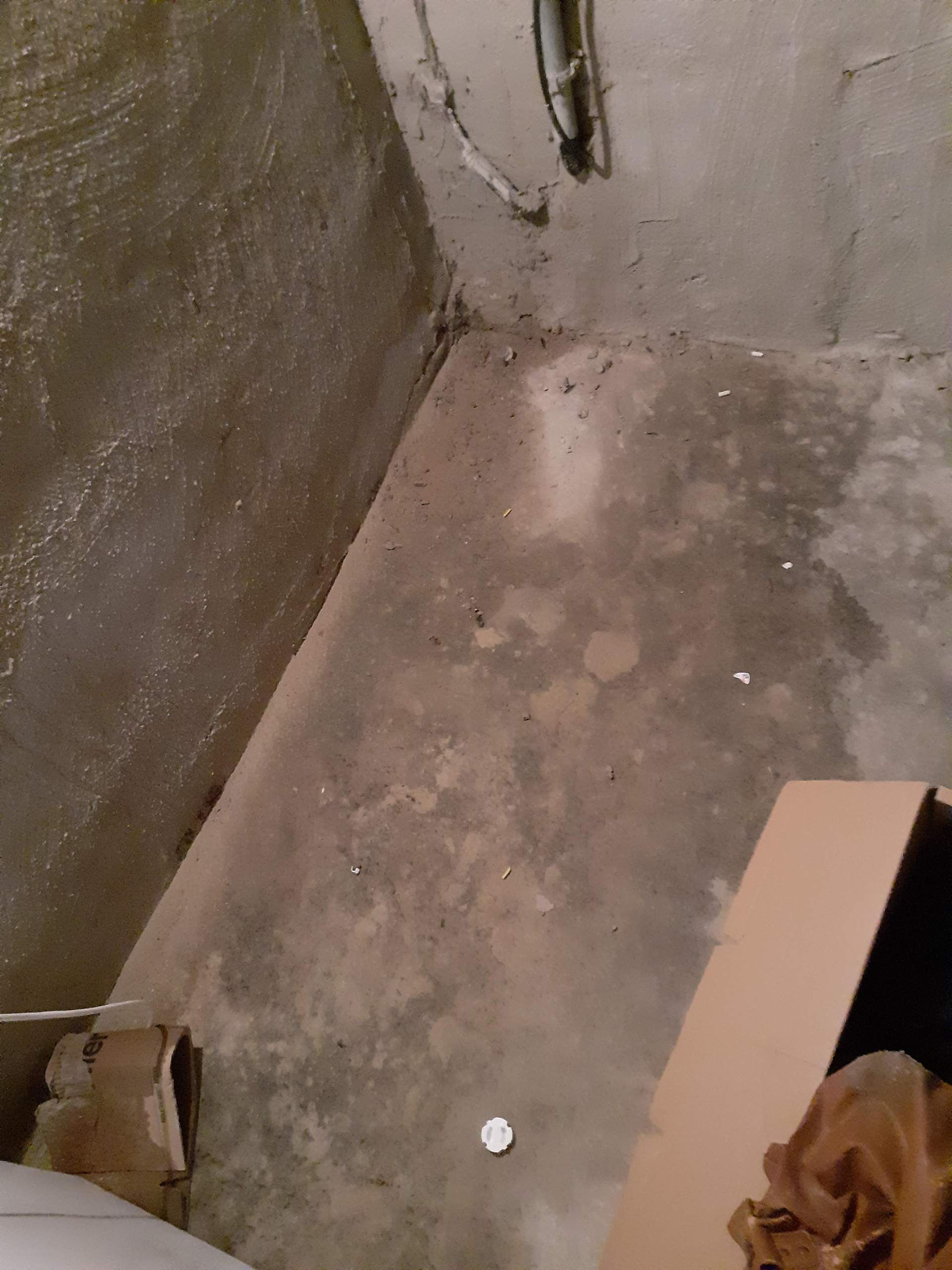 Schimmel und Feuchtigkeit nach? (Hauskauf, Immobilienkauf)