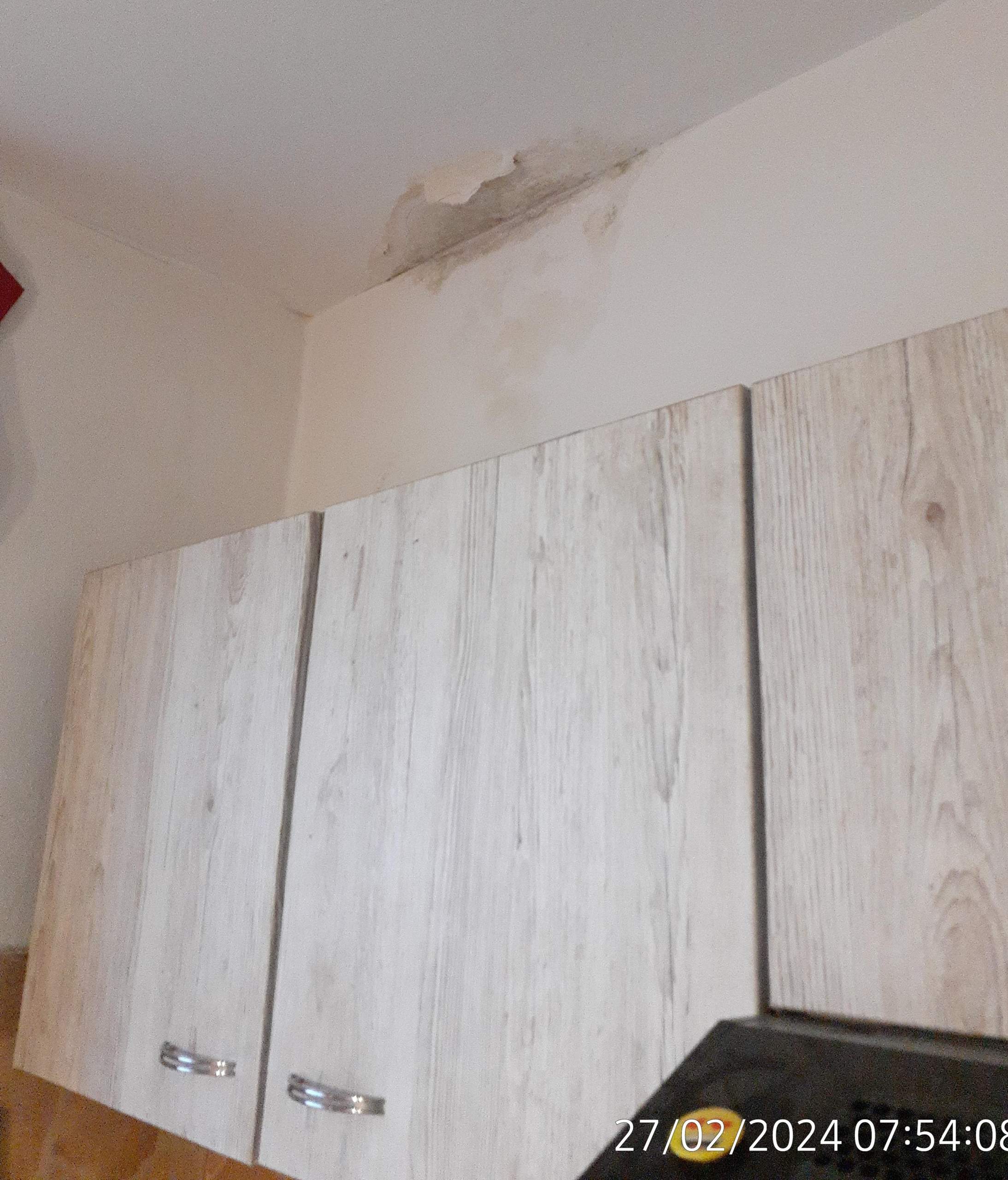 Wieviel Mietminderung bei diesem Wasserschaden/Schimmel rechtens? (Mietrecht, Mietmängel)