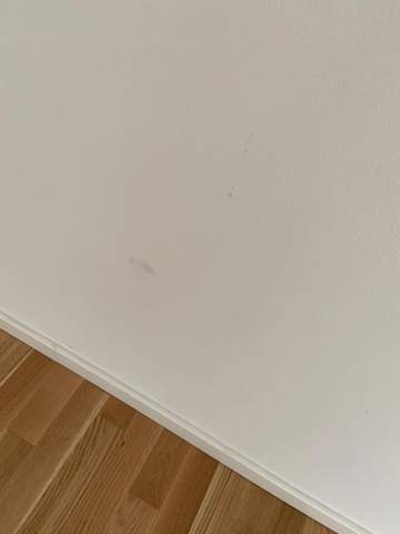 Wohnungsabgabe-muss ich die Wände weiß streichen?