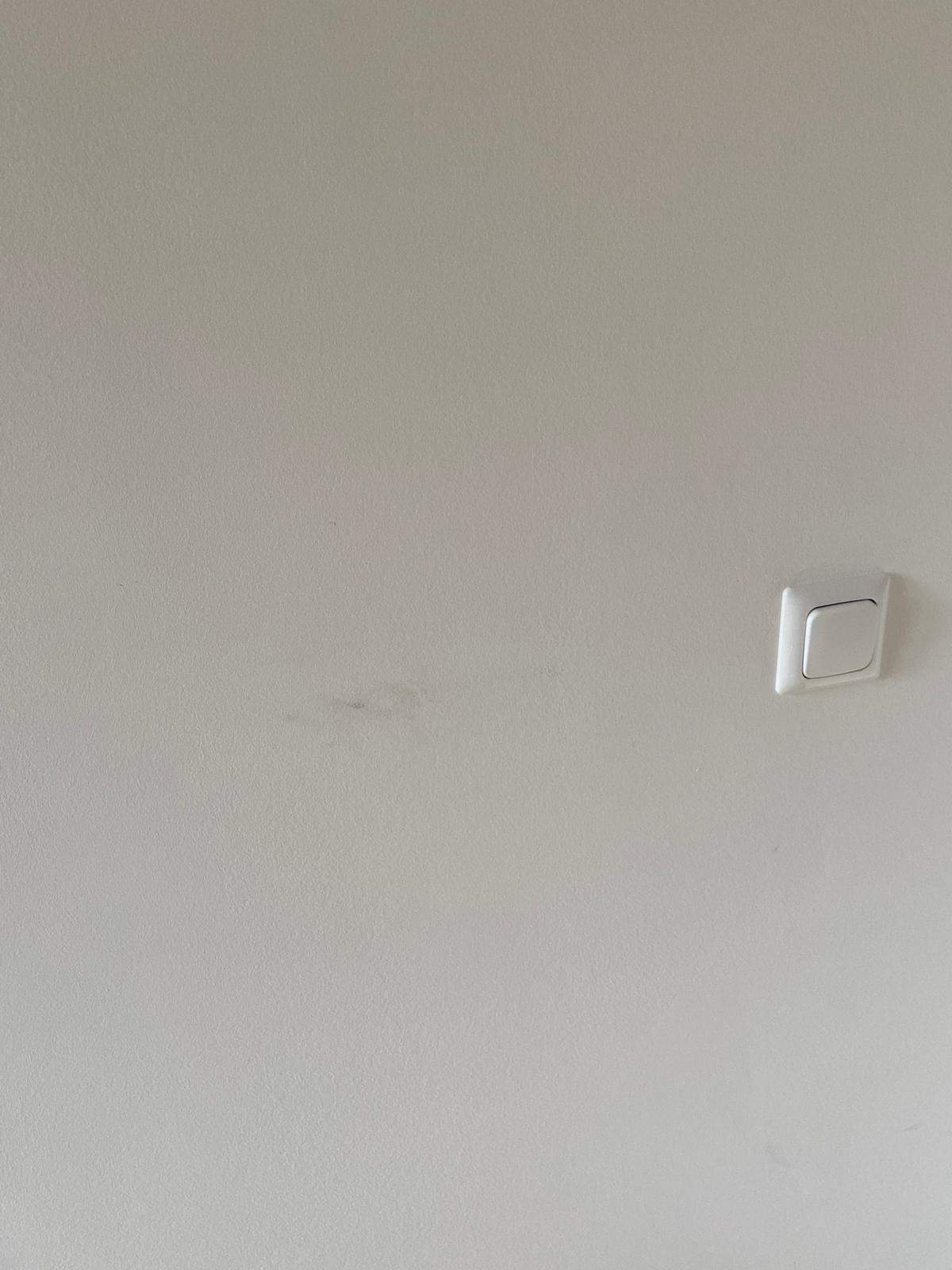 Wohnungsabgabemuss ich die Wände weiß streichen? (wohnung, vermieter)